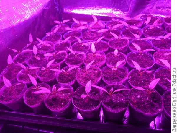 Получилось 58 штук....