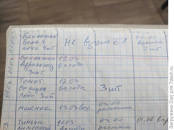 Самый тормоз Белая ночь. Но красивый и вкусный