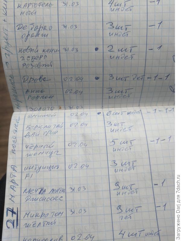 Основная масса томатов. Часть была посеяна раньше. В июле они все сравнялись