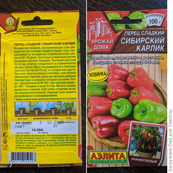 Сибирский карлик