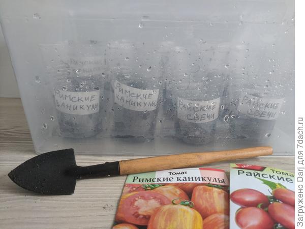 Посевы в контейнере. Внутри туман из-за того, что земля прогрета горячей водой