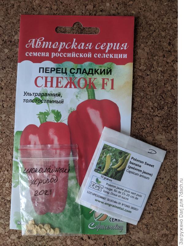 Участники забега...