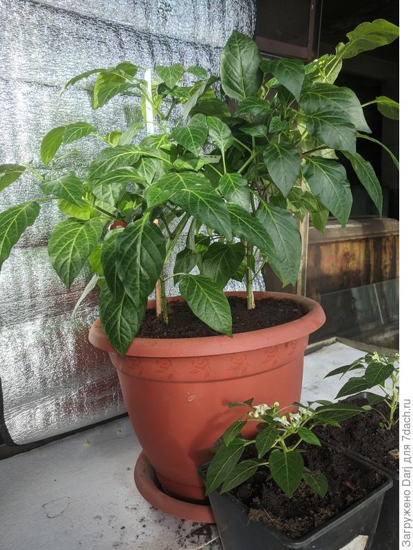 Эти тоже в своё время получили &amp;quot;по башке&amp;quot; дважды