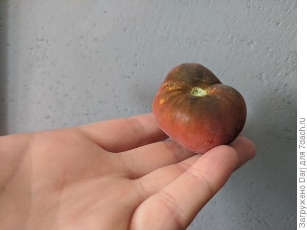 Спящая леди. Замороженная