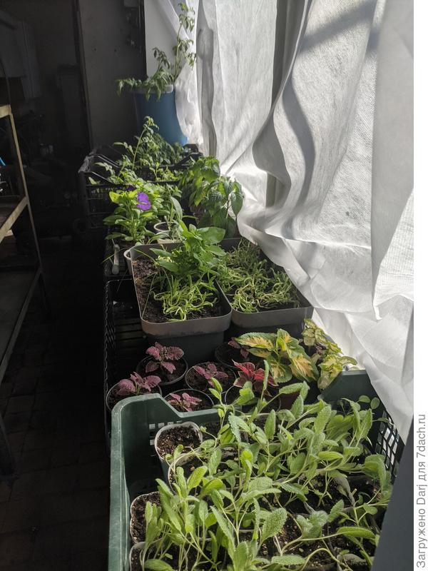 Окно на работе.