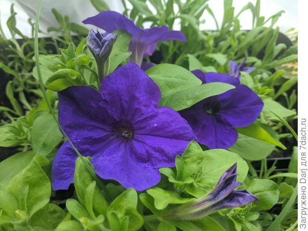 Ждём лета....