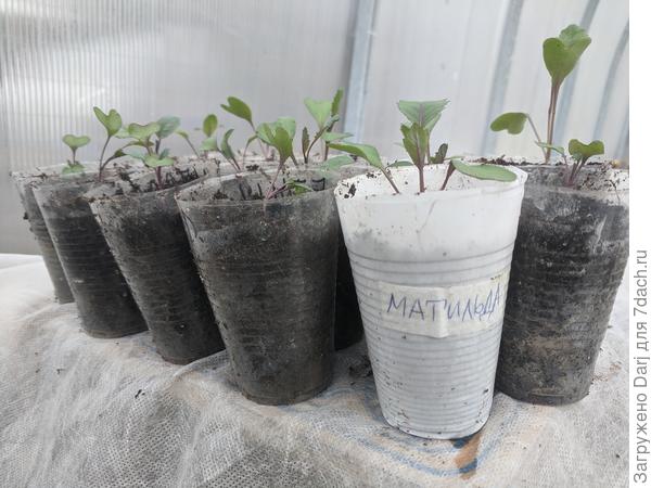 Результат первого этапа тестирования