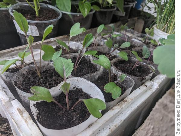 Ждём погоды