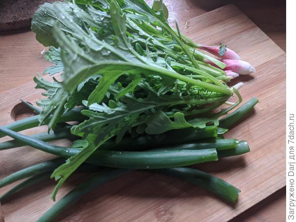 Первая зелень!