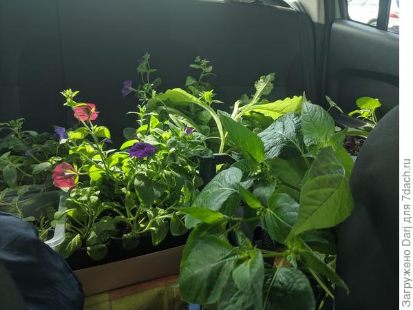 Едем. На волю!