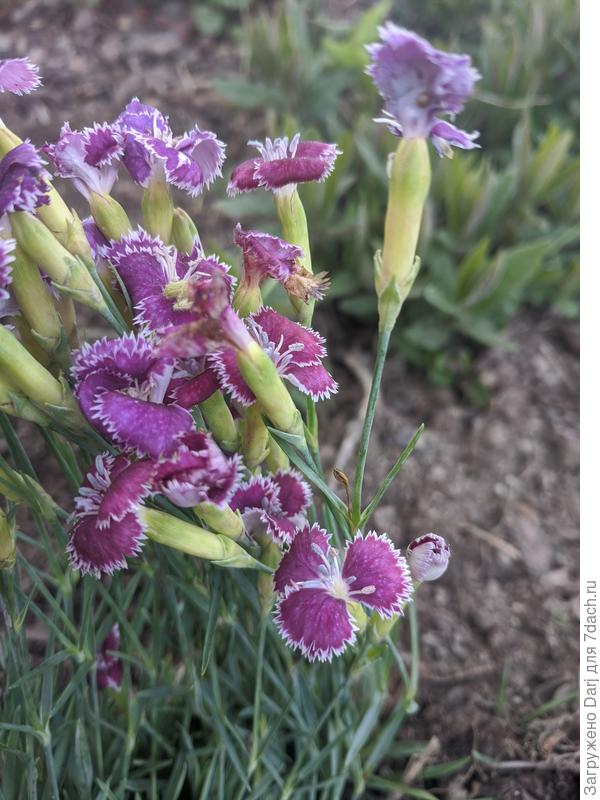 Ещё подарочек