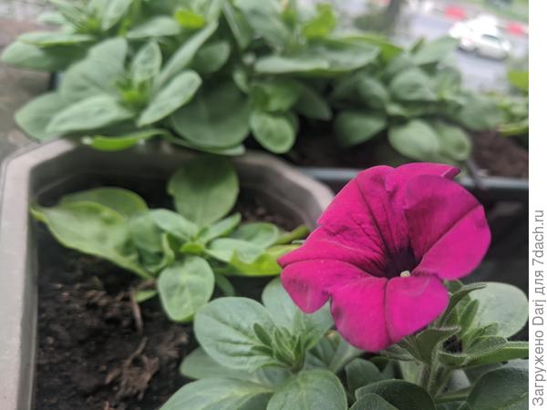 И на балконе