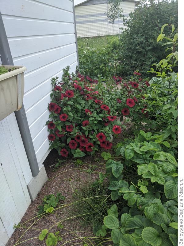 Для любителей общих планов