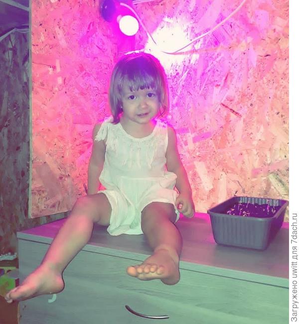 Неудачный опыт 2020 г