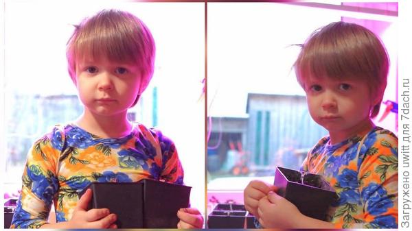 Пикировала