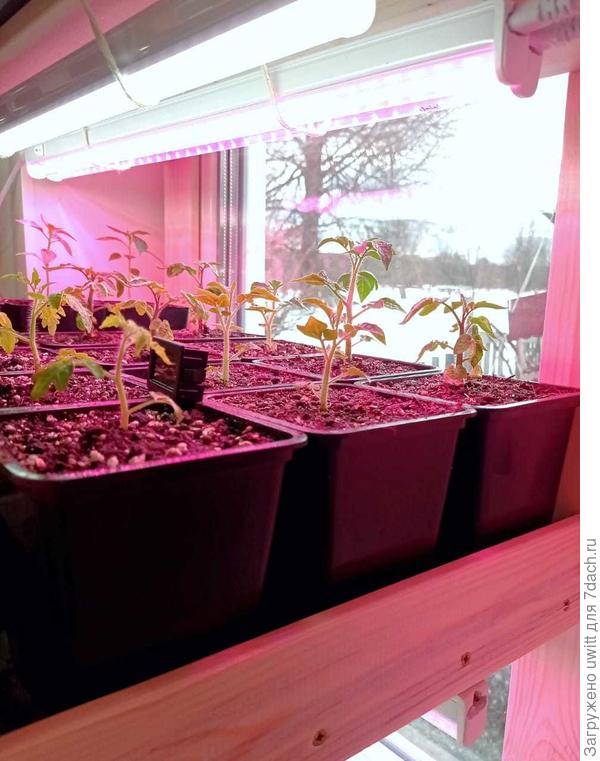 Стеллаж с четырьмя полками