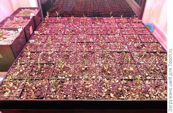 На полке стеллажа