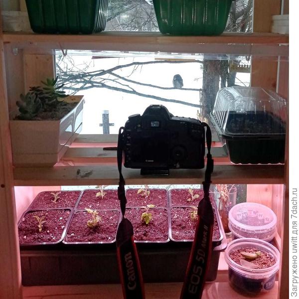 Фитостеллаж-штатив))