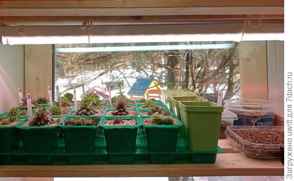 Стеллаж с пятью полками