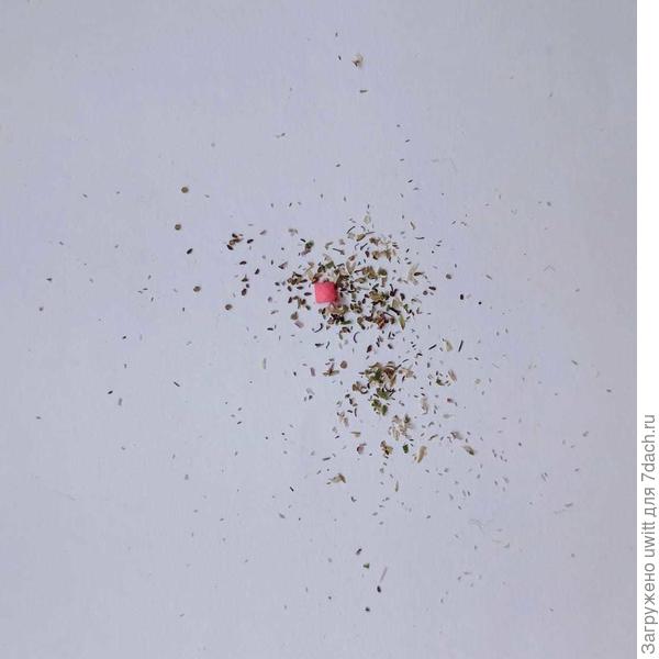 Свои семена