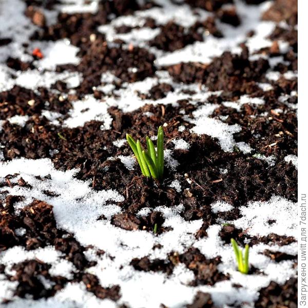 Зефир в конце марта 2021 года