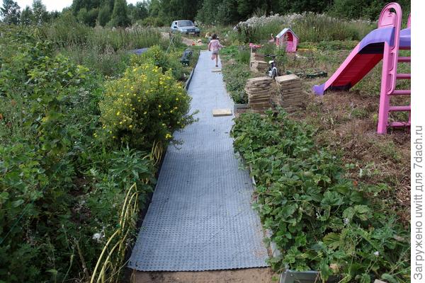 Нашкодила и дёру)