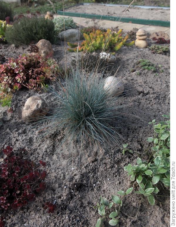 Маленький кусочек клумбы