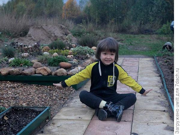 Все рады мембране