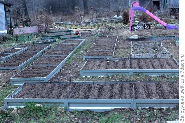 Маааленькая плантация))