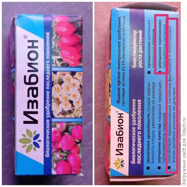 Верный и проверенный помощник Изабион