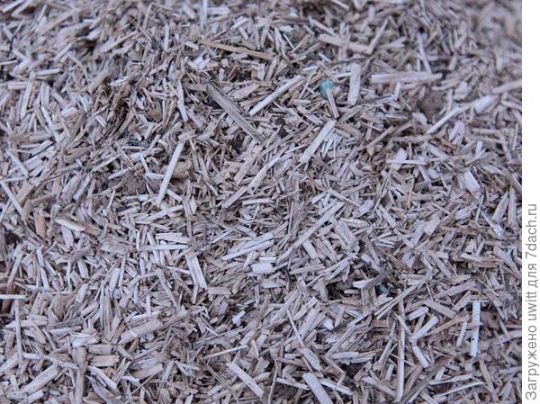 Конопляная костра