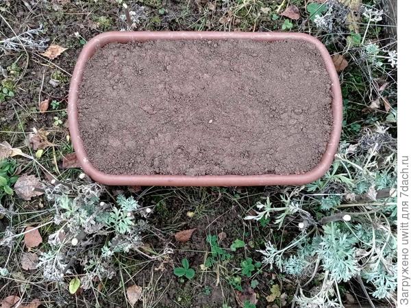 Готово до весны