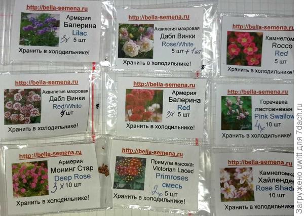 Подзимний посев