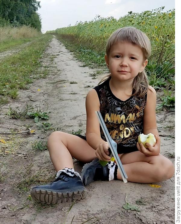 Свои яблоки всегда вкуснее