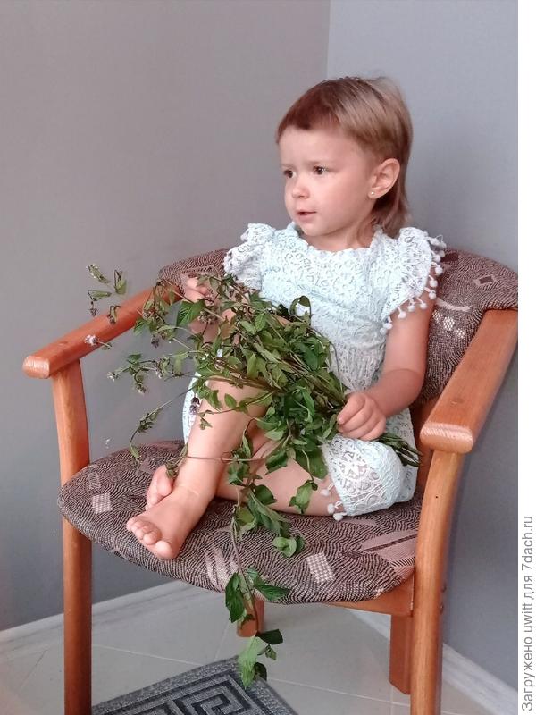 С букетом мяты Granada успокаивающих свойств растения у ребёнка не прослеживается))