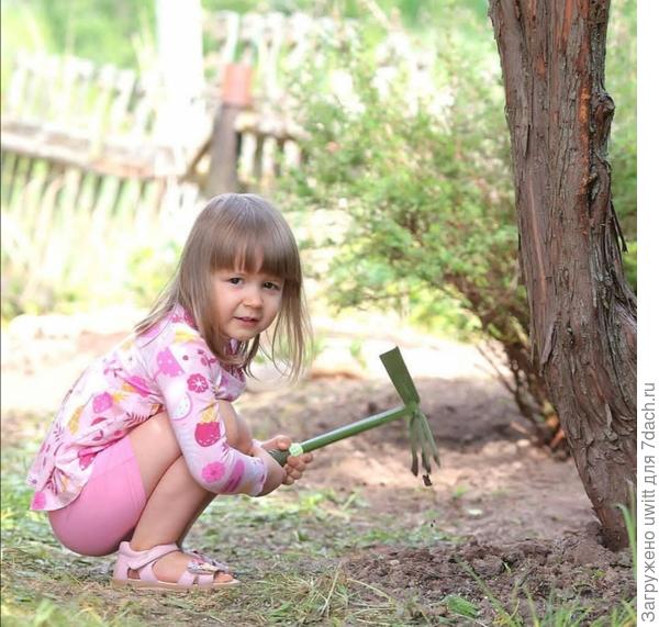 На фоне лапчатки