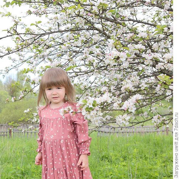 Милада на фоне цветущей яблони