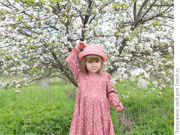 Милада на фоне цветущей яблони
