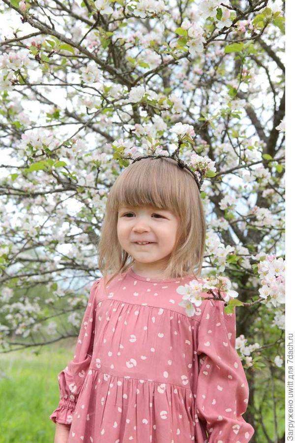 Милада на фоне цветущей яблони