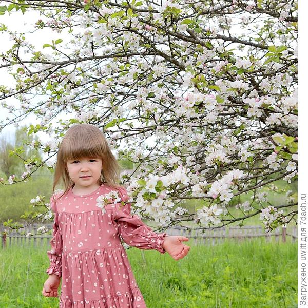 Милада на фоне цветущей яблони