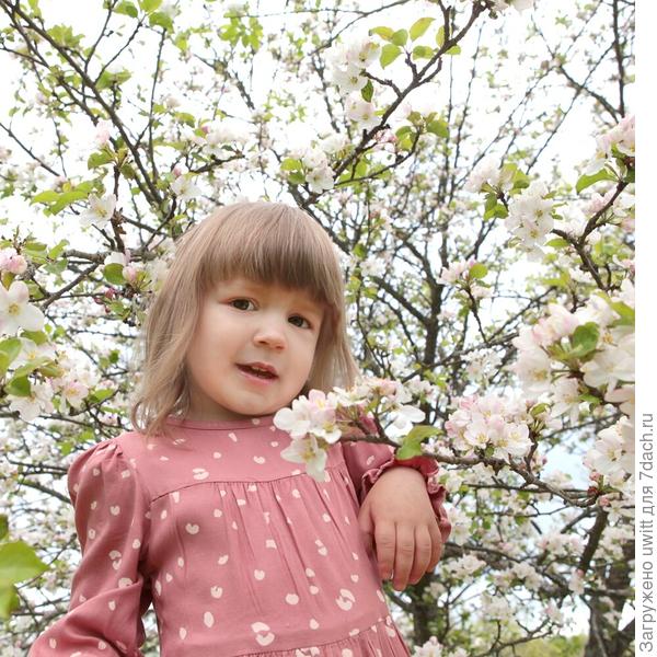 Милада на фоне цветущей яблони