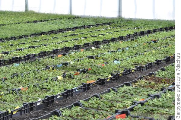 Очень промышленно и масштабно