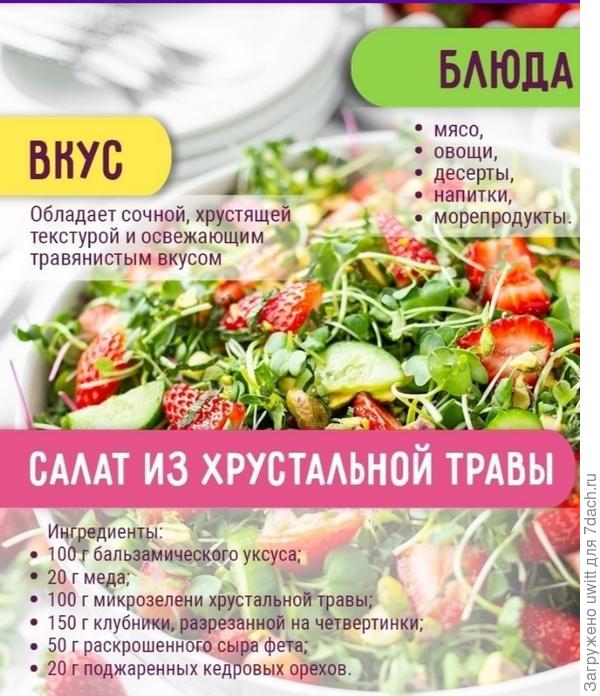 Рецептик, но Бальзамика (слишком много), а игредеенты сыр, клубника и орехи у меня и без мезембриантемума &quot;улетят в животик&quot; 😉