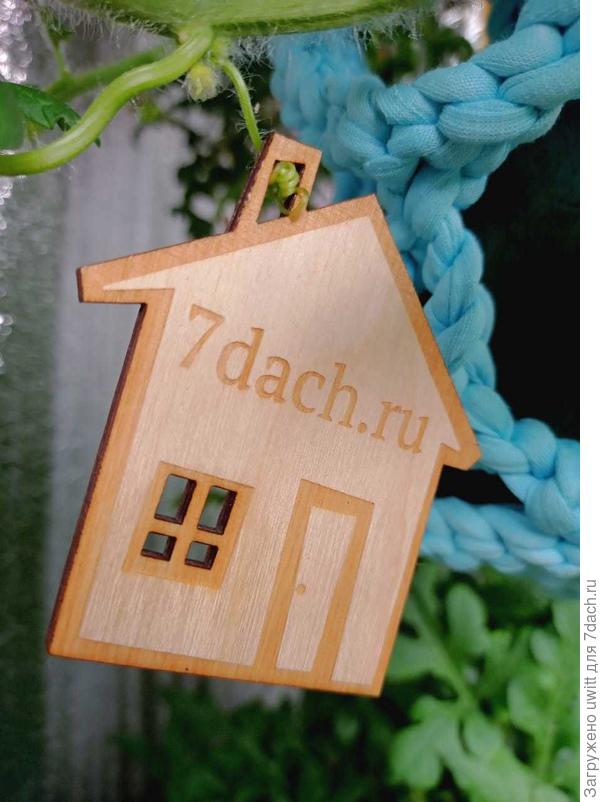 Семидачный домик 🏠