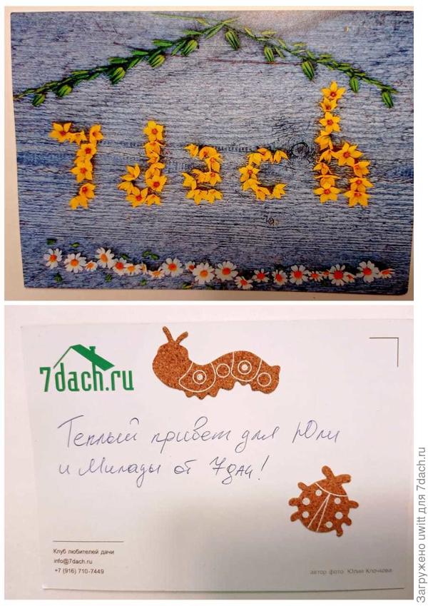 Теплота от редакции 🌞
