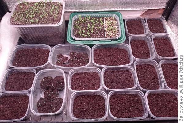 Пока всё очень компактненько))