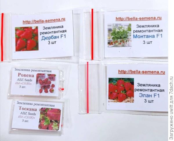 Профсемена