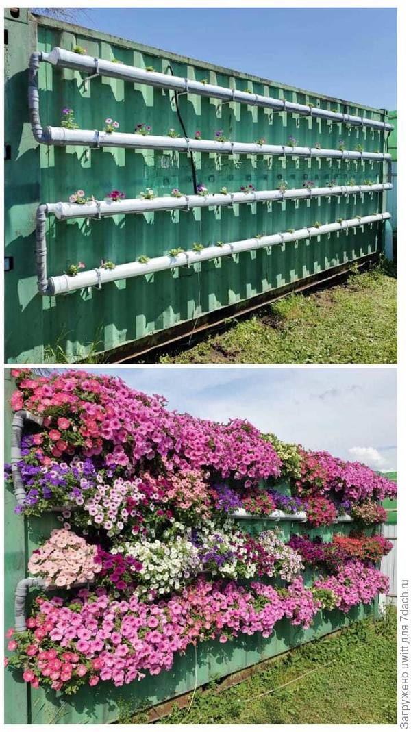 Фото из соцсети было/стало