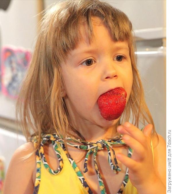 Крупноплодная &quot;Гера&quot;