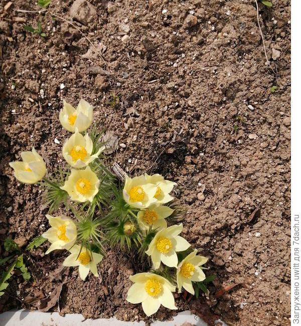 Солнце на солнце